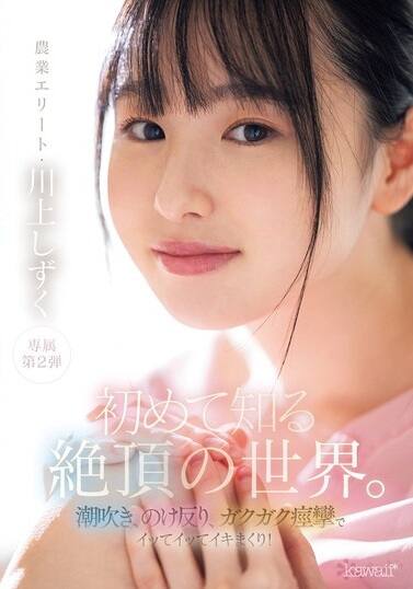 川上しずく(かわかみしずく)の風俗(ソープデリヘル)在籍情報